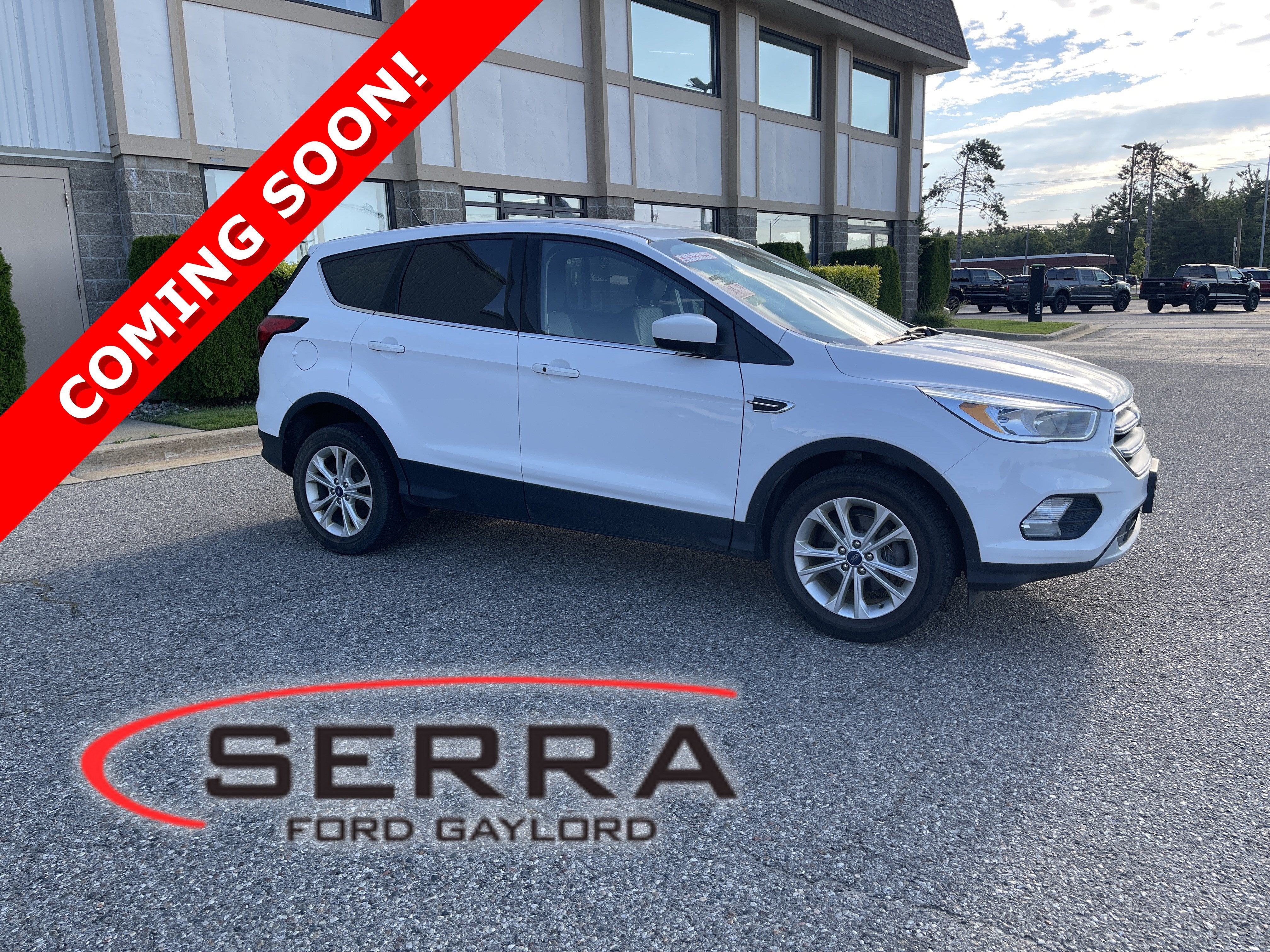 2019 Ford Escape SE