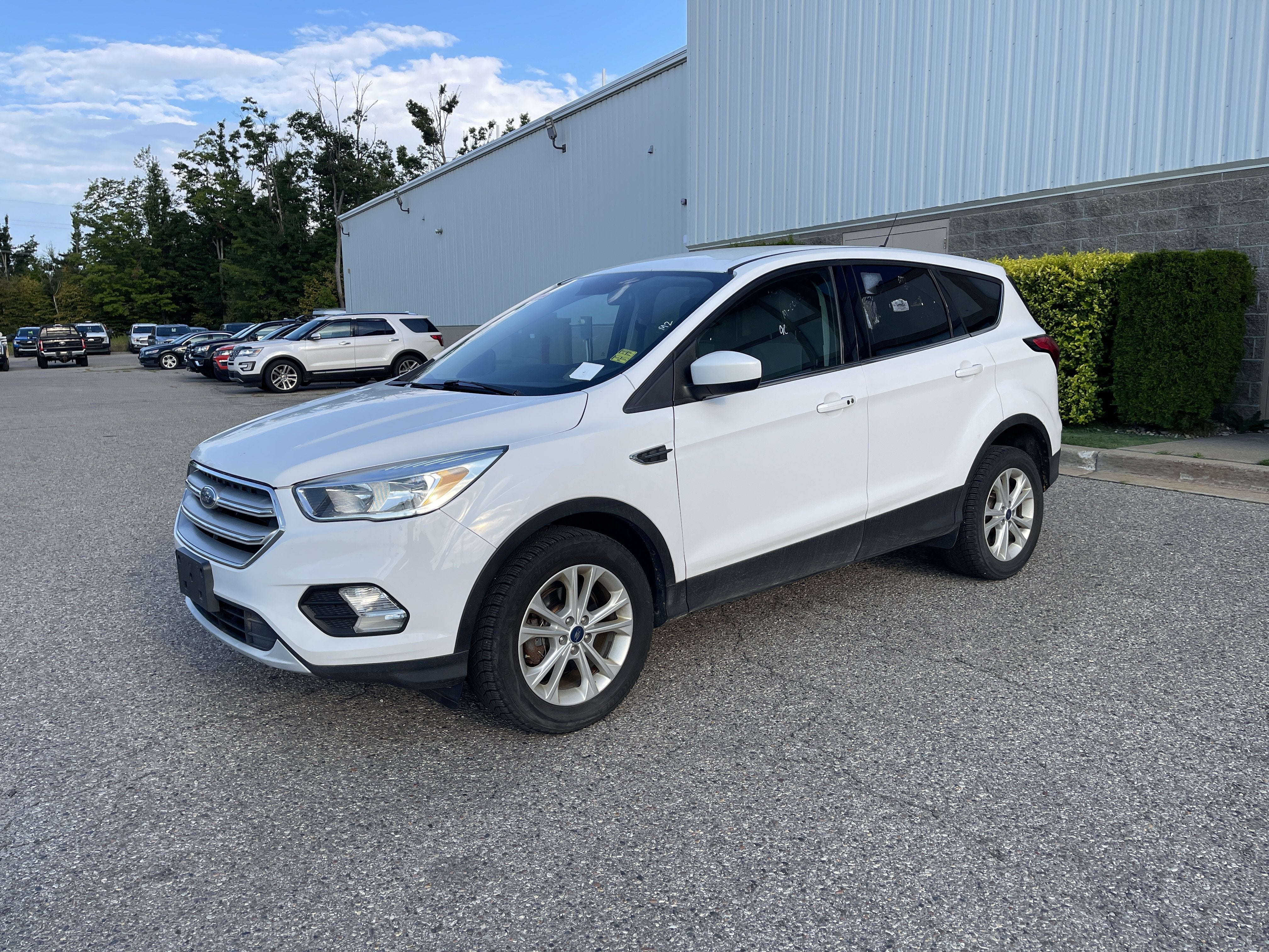 2019 Ford Escape SE