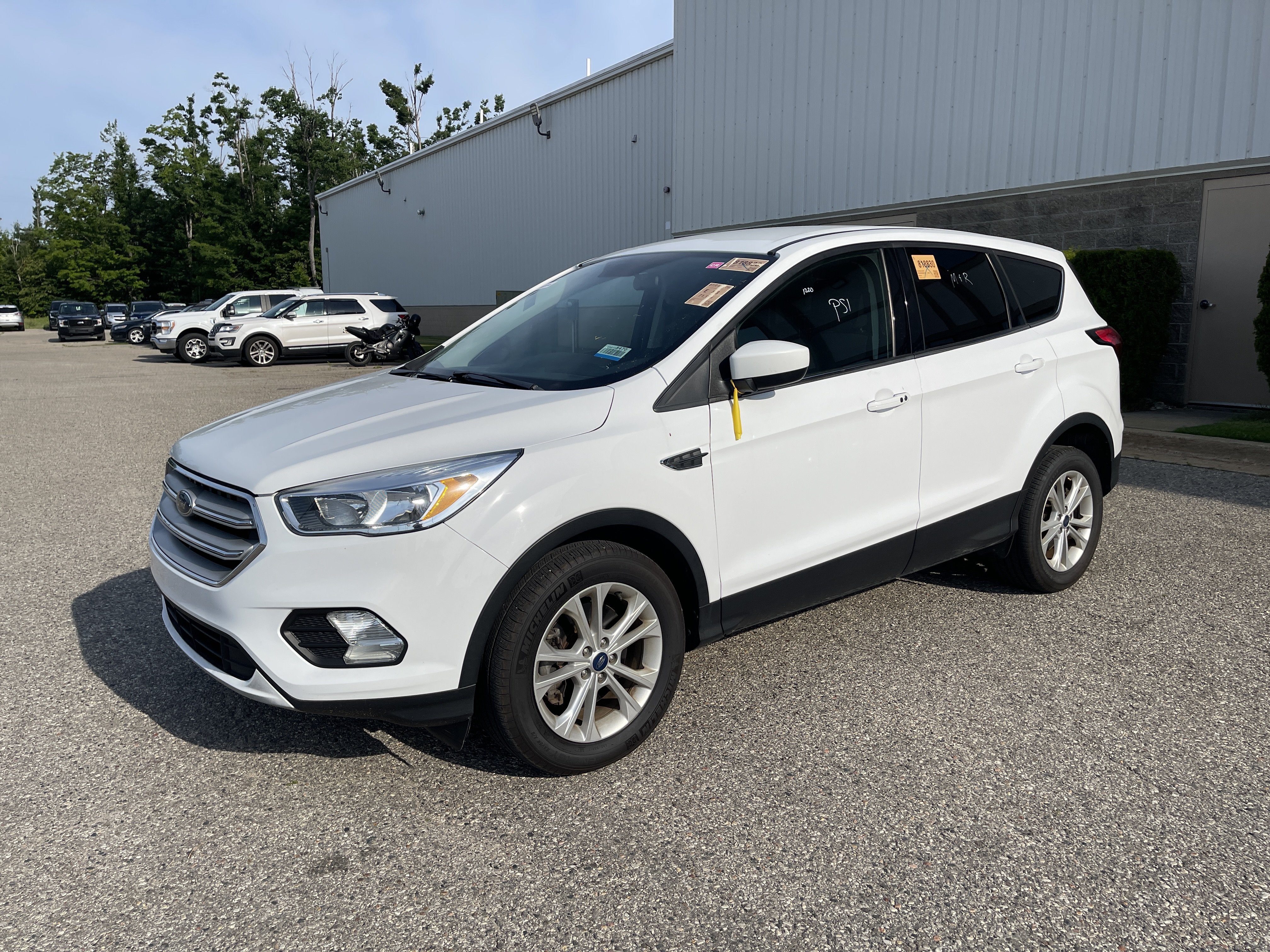2019 Ford Escape SE