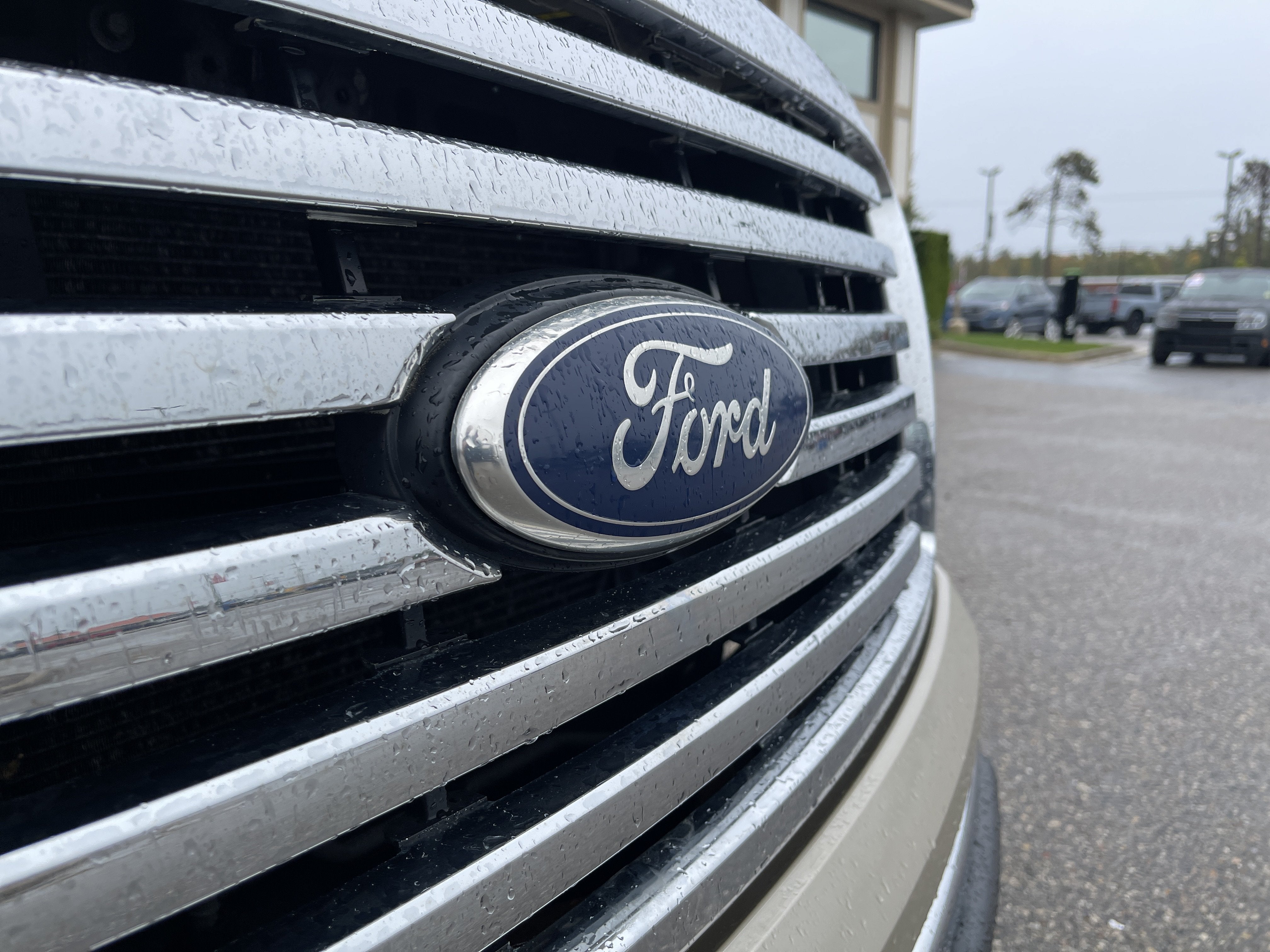 2010 Ford F-150 XLT