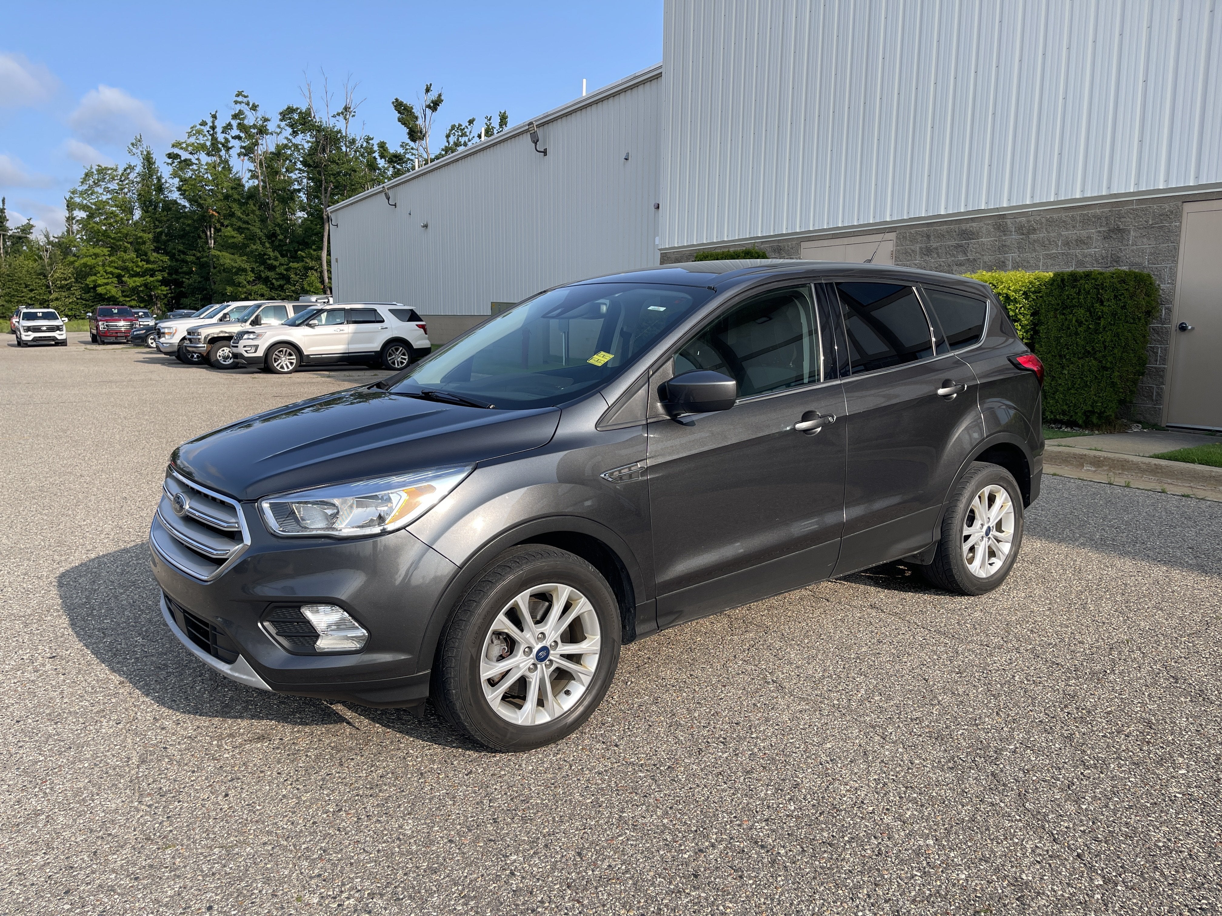 2019 Ford Escape SE