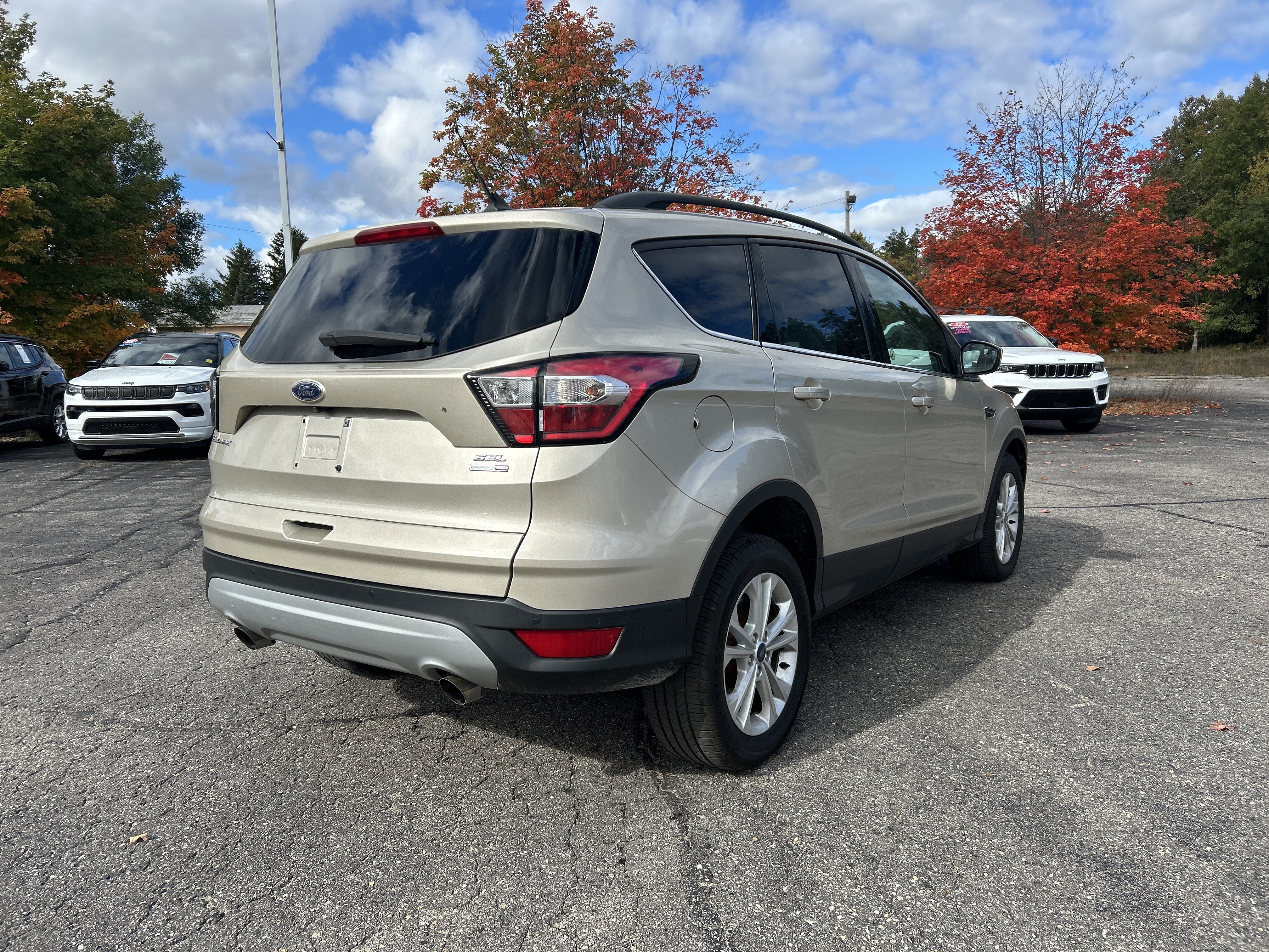 2018 Ford Escape SEL