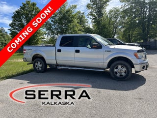 2010 Ford F-150 XL